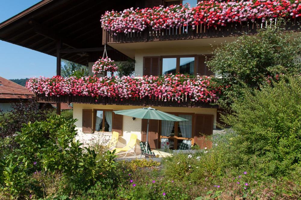 Ferienwohnung Petra Koller Bodenmais Dış mekan fotoğraf